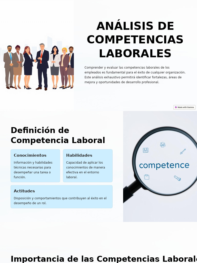 Analisis de Competencias Laborales | PDF | Business
