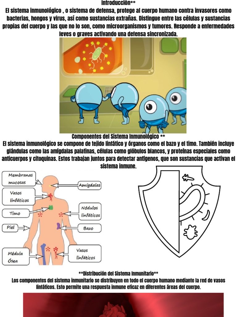 Introducción El sistema inmunitario, o sistema de defensa, protege al ...