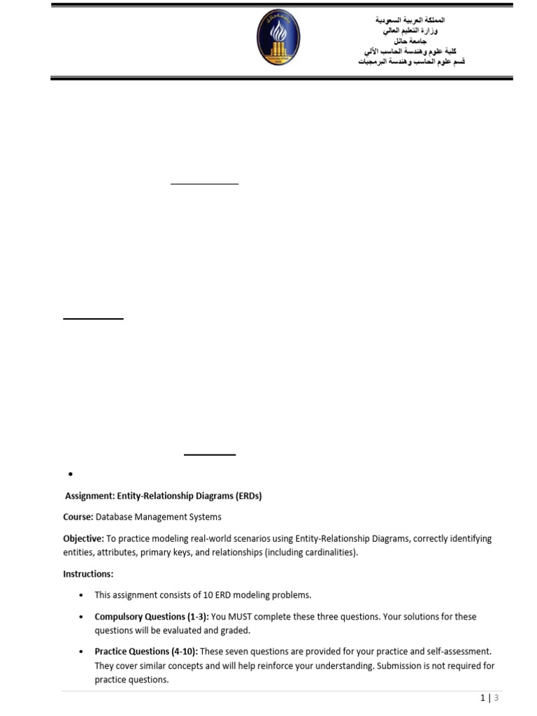 ER Diagram Assignment | PDF | Computing
