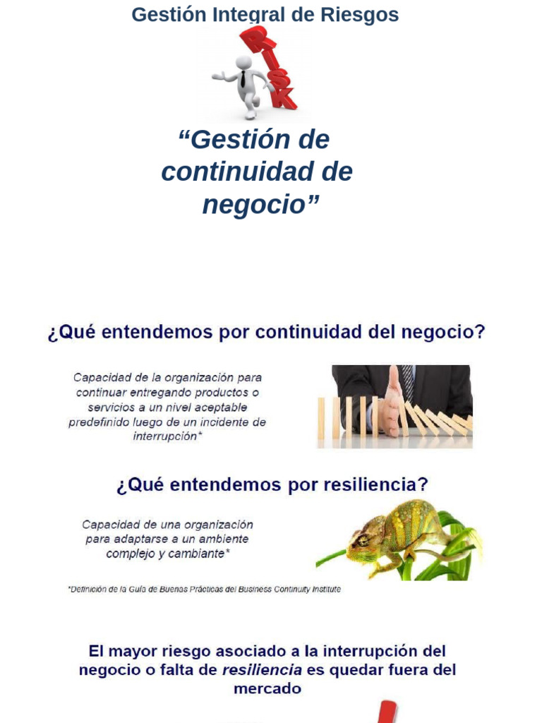 Gestion de Continuidad de Negocios y Seguridad de Informacion | PDF