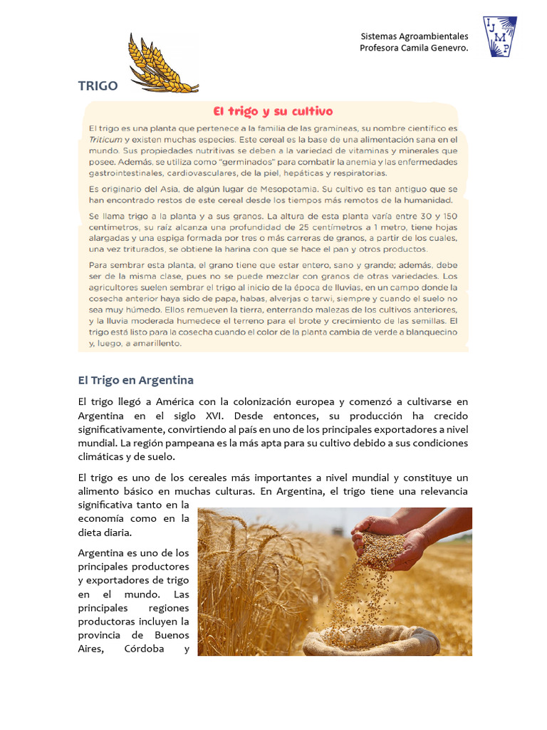 Ciclo de Vida del Trigo en Argentina | PDF | Trigo | Cereales