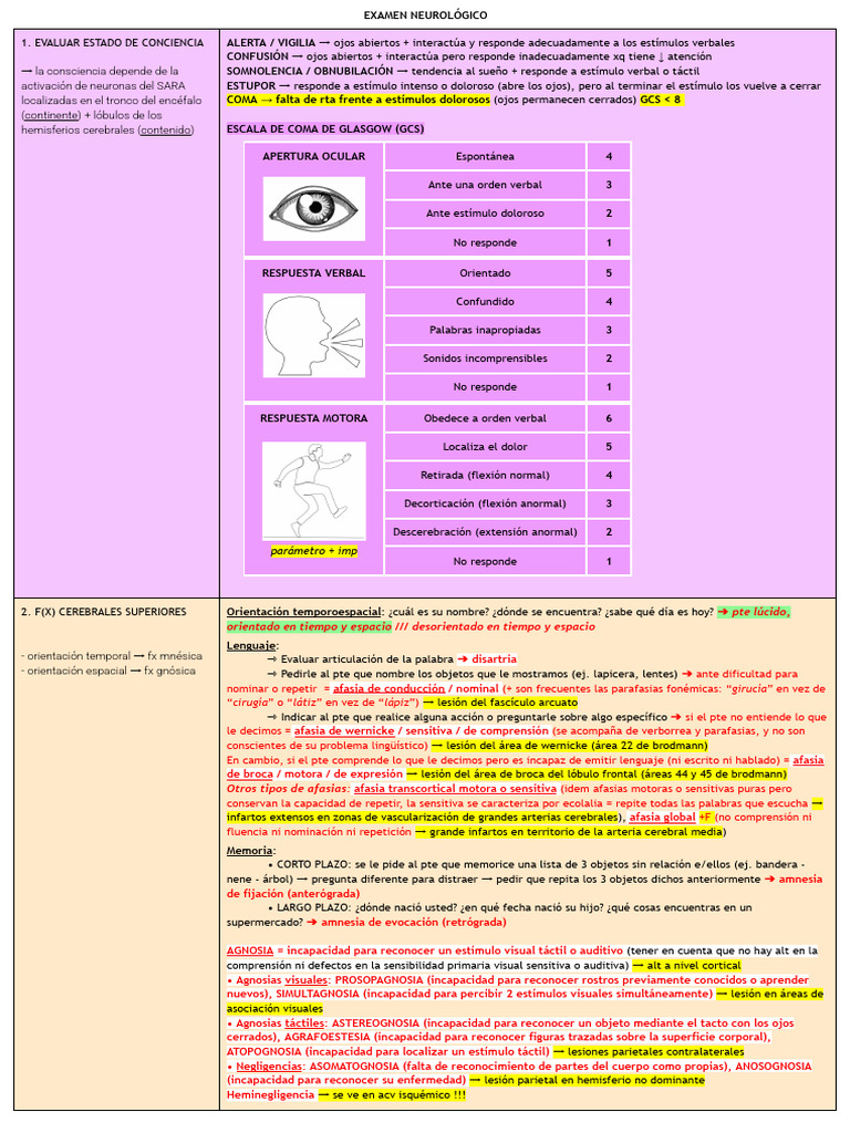Neurox (1) | PDF | Sistema nervioso | Anatomía humana