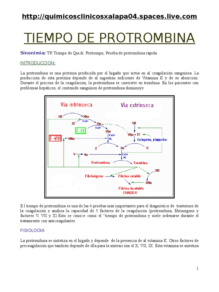 Hemato Tiempo de Protrombina Coagulación Sangre