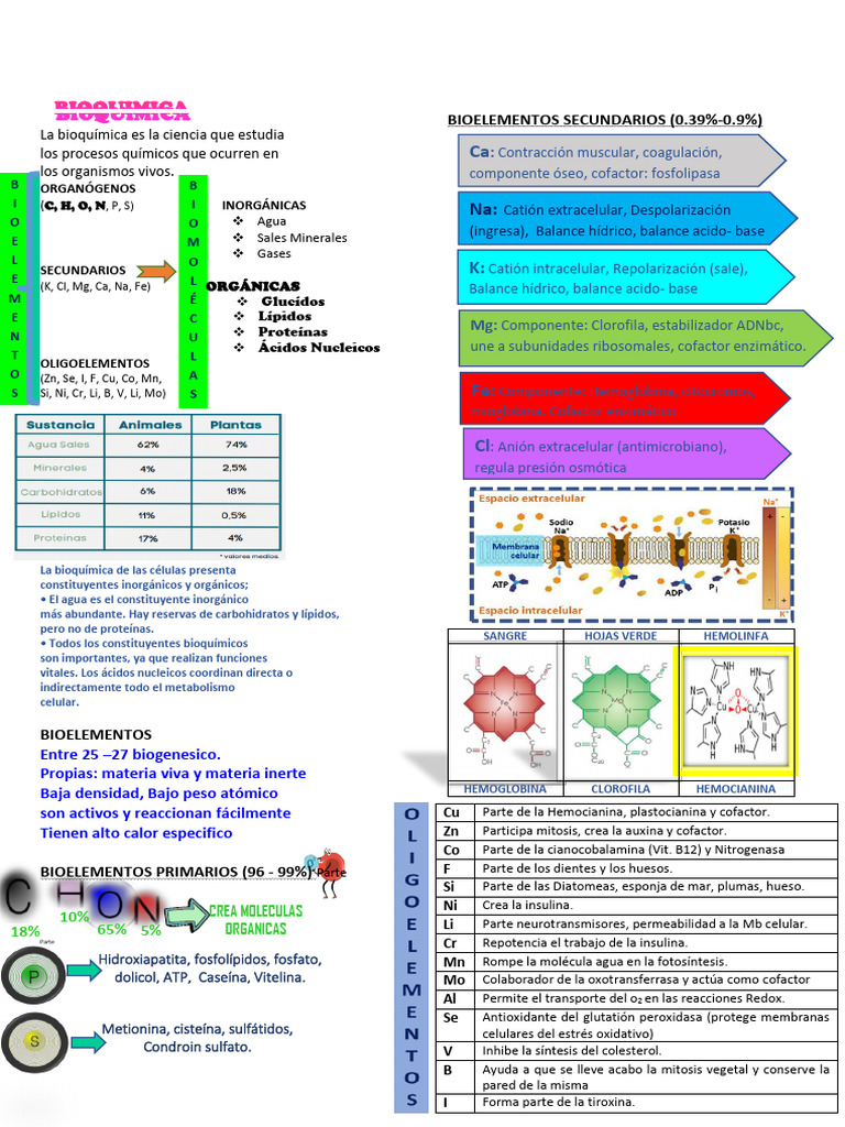 Bioquímica de Bioelementos y Funciones | PDF | Bioquímica | Química