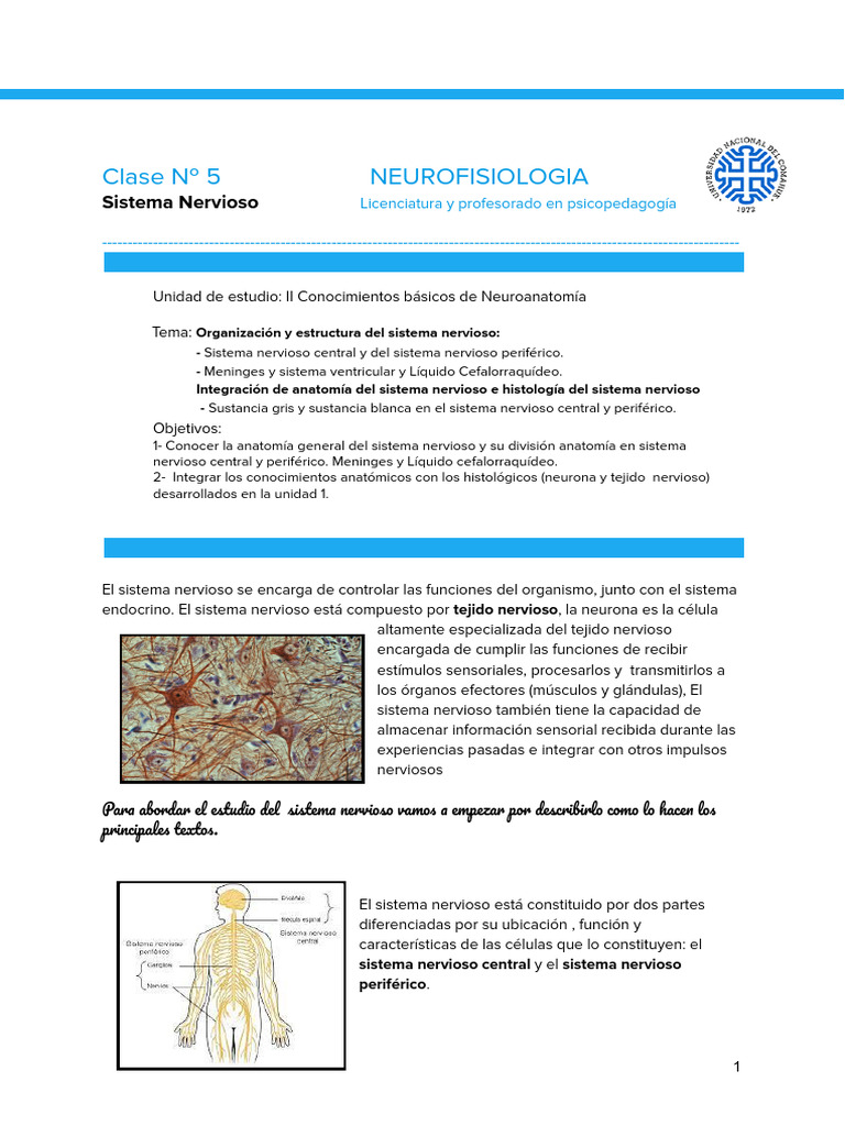 Clase #5 Sistema Nervioso | PDF | Sistema nervioso | Fluido cerebroespinal