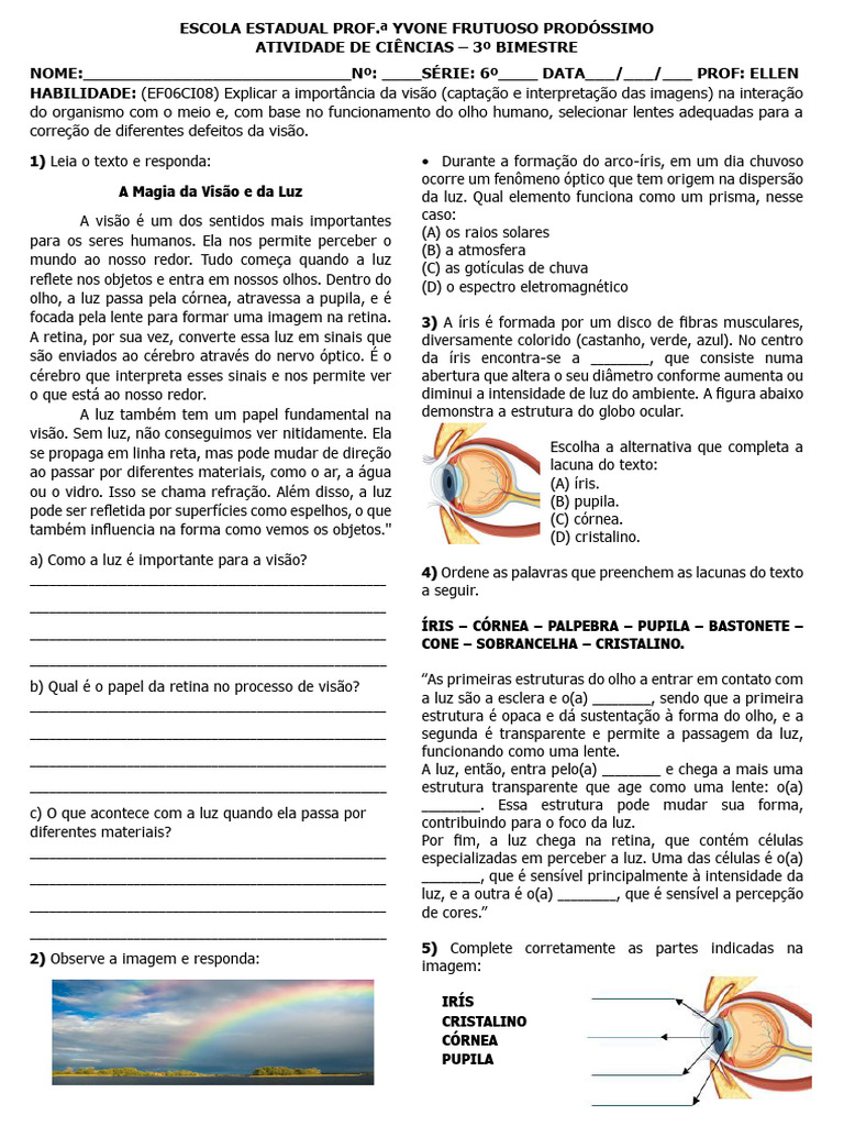 Atividades sobre Visão para 6º Ano | PDF | Sistema visual | Olho