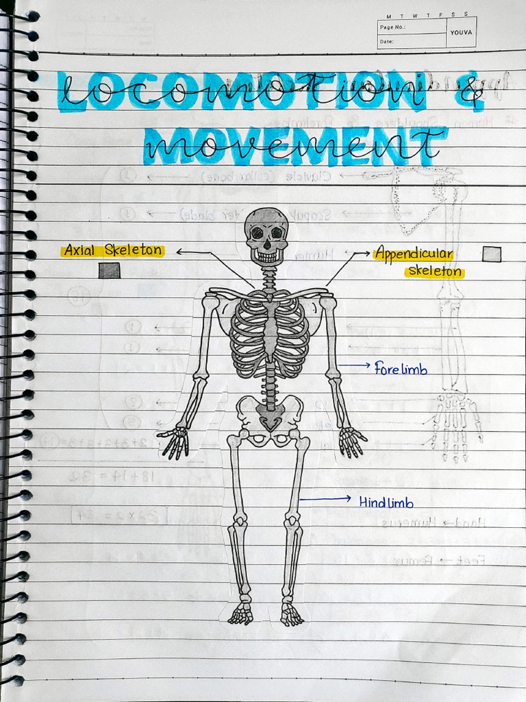 1743754136 | PDF