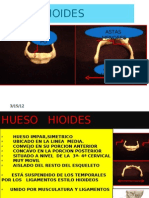 Hueso Hioides y Relacion Con Atm, Craneo, Cuello