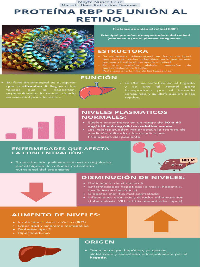 Función y Estructura de la Proteína RBP | PDF | Vitamina a | Diabetes