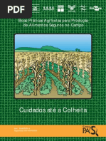 BOAS PRATICAS AGRÍCOLAS Cuidados até a colheita