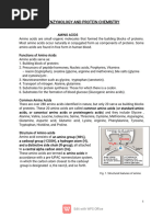 Amino Acids Chart Detailed | PDF | Cysteine | Amino Acid