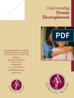 Serum Electrophoresis