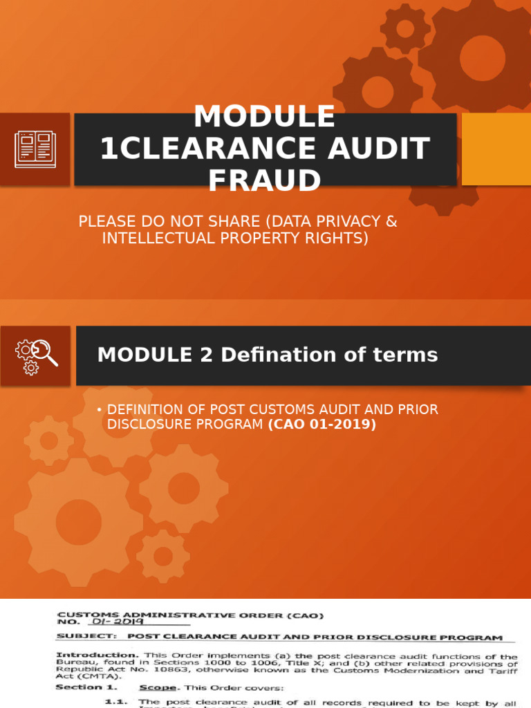 Customs Audit and Disclosure Terms | PDF