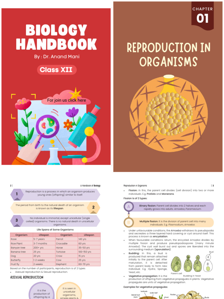 Reproduction in Organisms Handbook | PDF | Pollen | Fertilisation