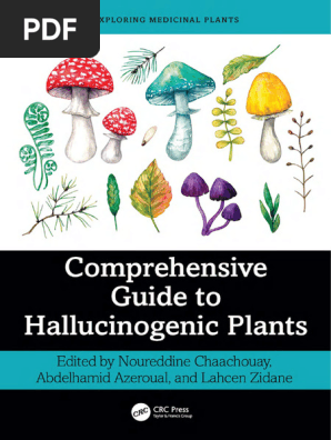 Comprehensive Guide To Hallucinogenic Plants - Exploring