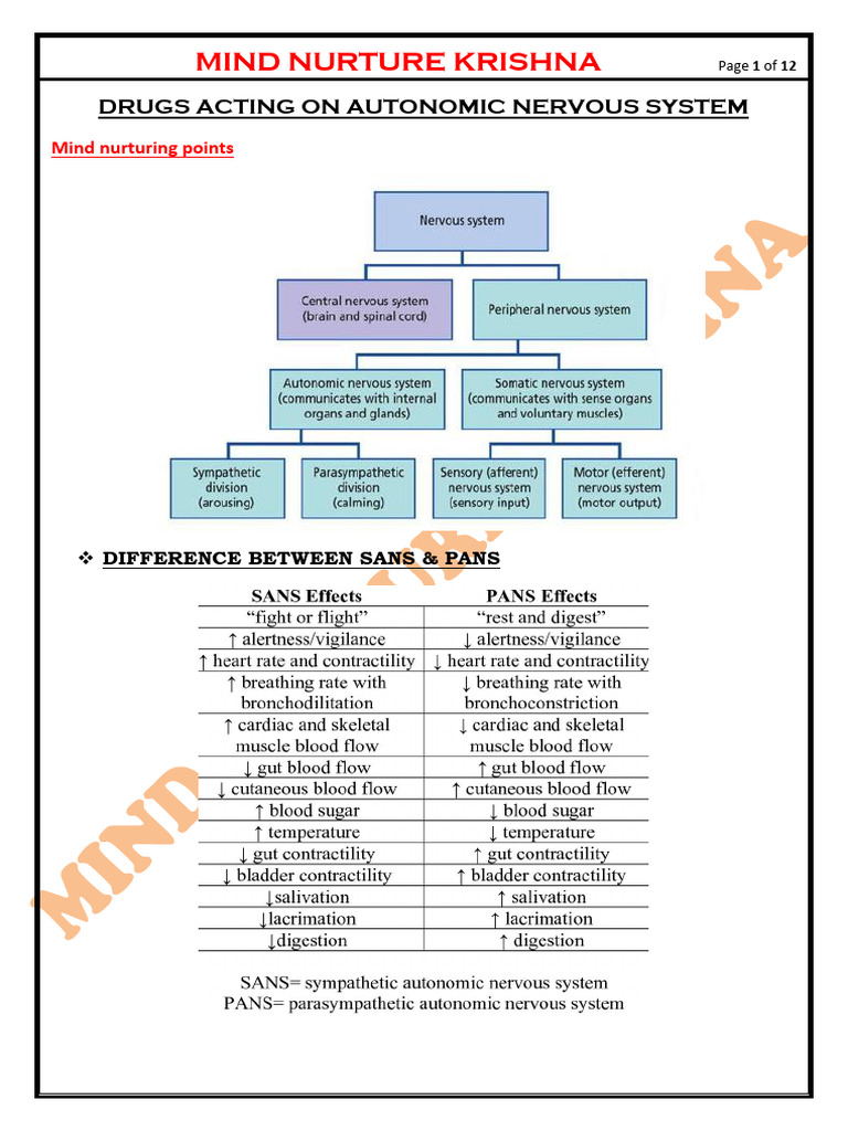 Sympathomimetic Agents Overview | PDF | Norepinephrine | Drugs
