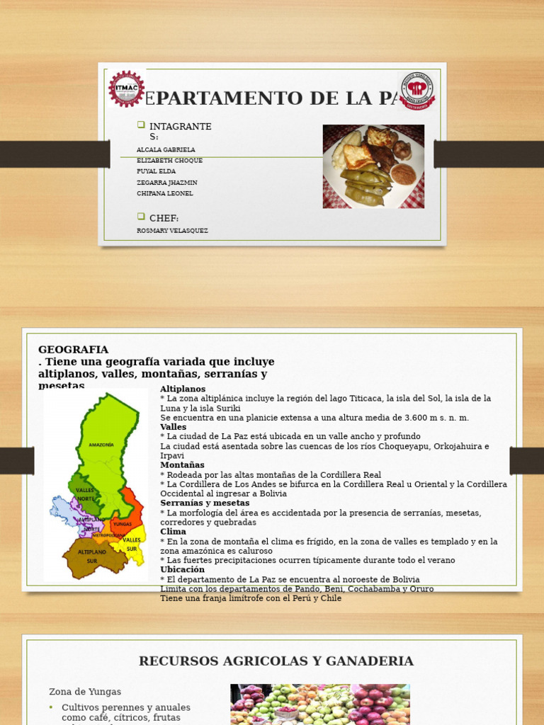 Departamento de La Paz | PDF | Bolivia | Andes