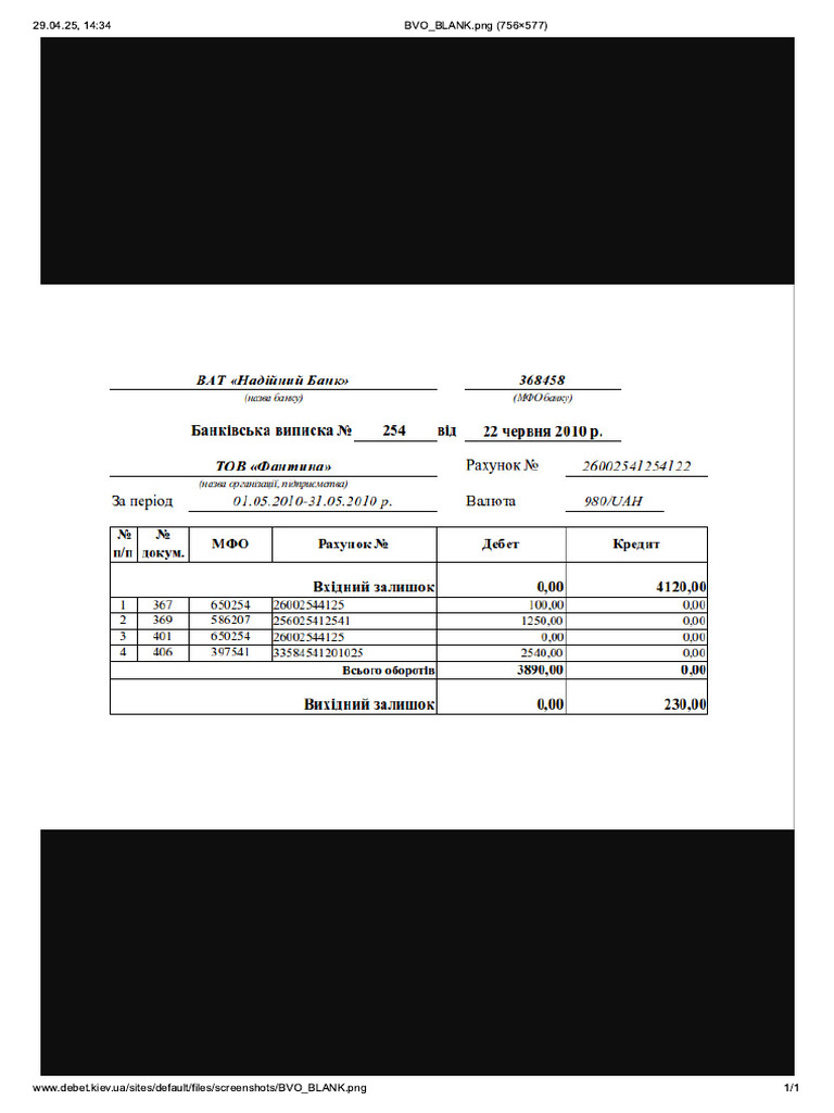 Bvo Blank | PDF