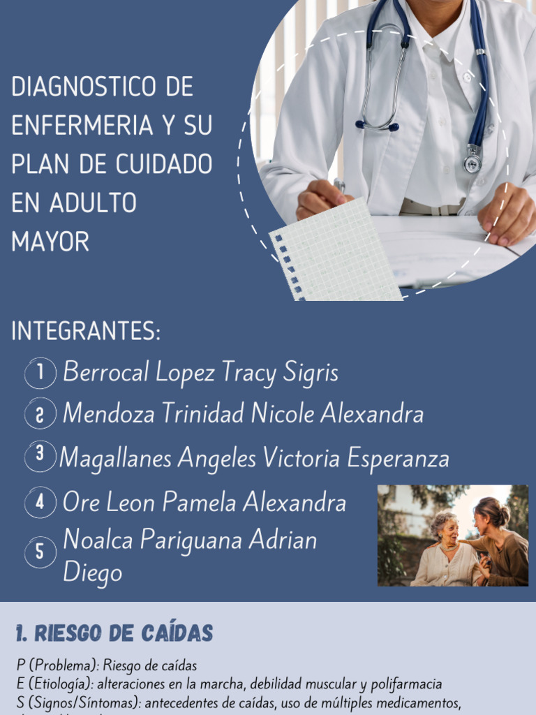 Plan de Cuidado de Enfermería en Adultos Mayores | PDF | Higiene ...