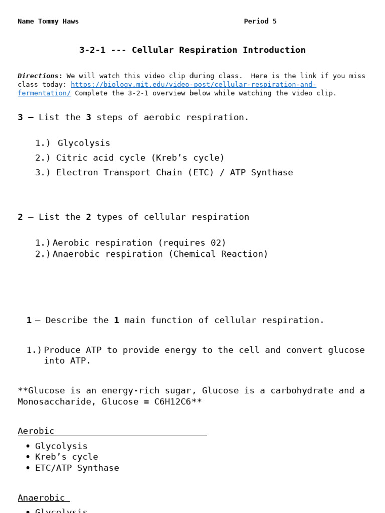 Cellular Respiration Overview Guide | PDF
