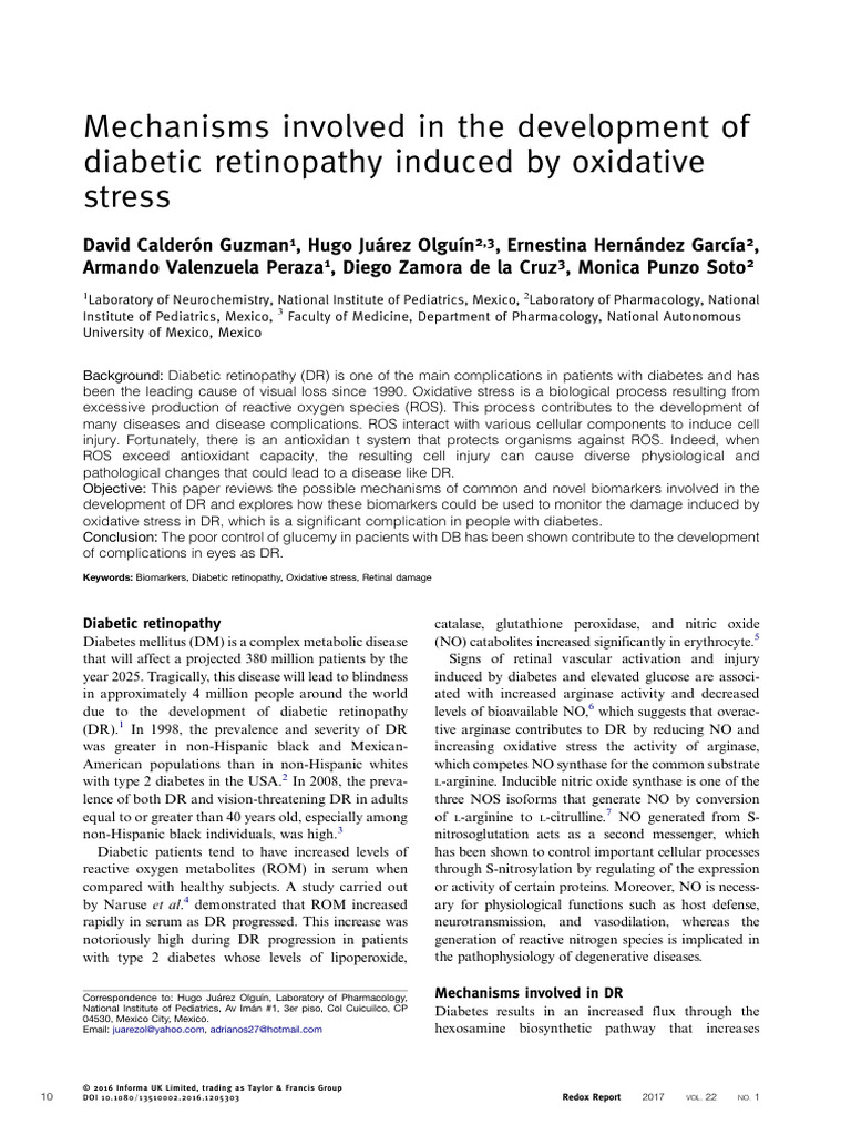 Mechanisms Involved in The Development of Diabetic Retinopathy Induced ...
