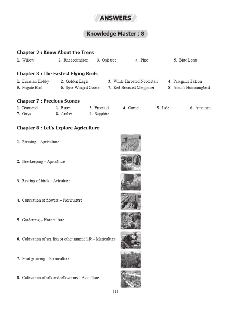 Knowledge Master 8 Solution | PDF | Gemstone