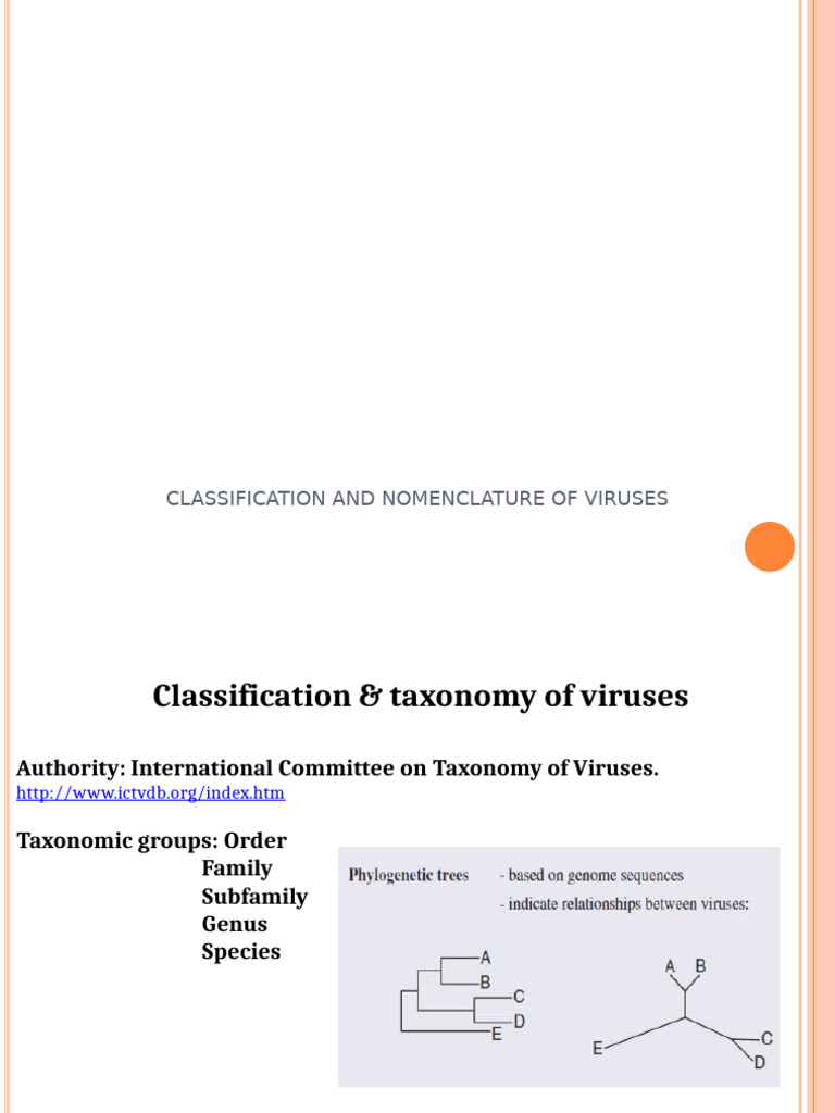 Virus Classification and Nomenclature Guide | PDF | Virus | Sense ...