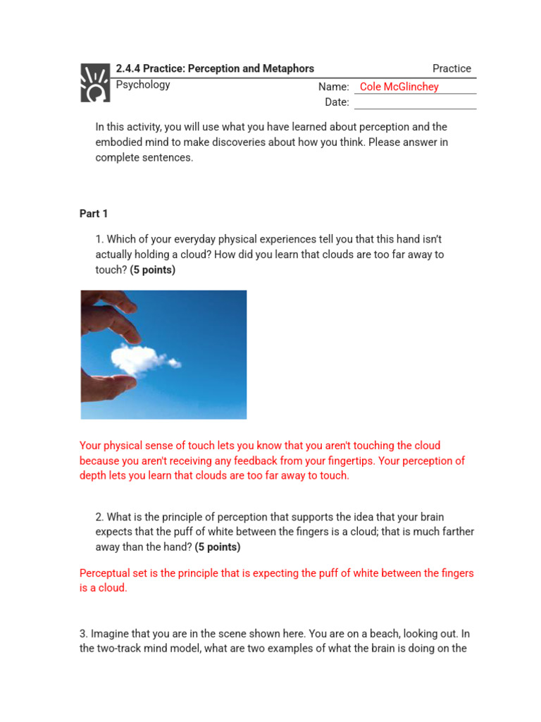 Perception and the Two-Track Mind | PDF | Perception | Mind