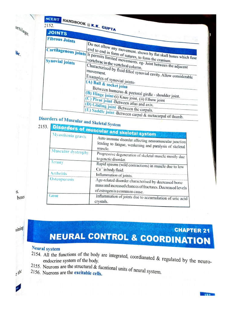 Neural Control and Coordination | PDF