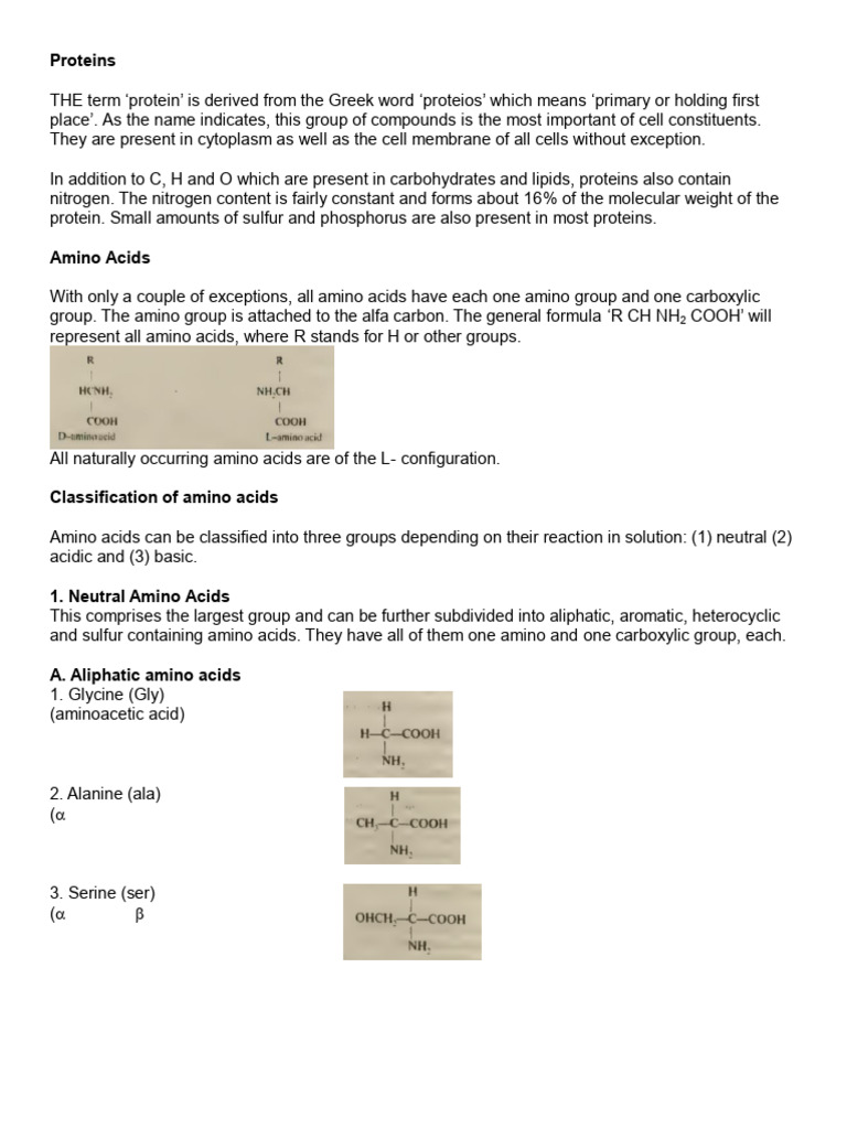 Understanding Proteins and Amino Acids | PDF | Amino Acid | Acid