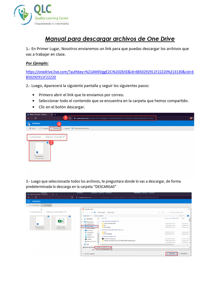 Manual para Descargar Los Archivos de Trabajo | PDF