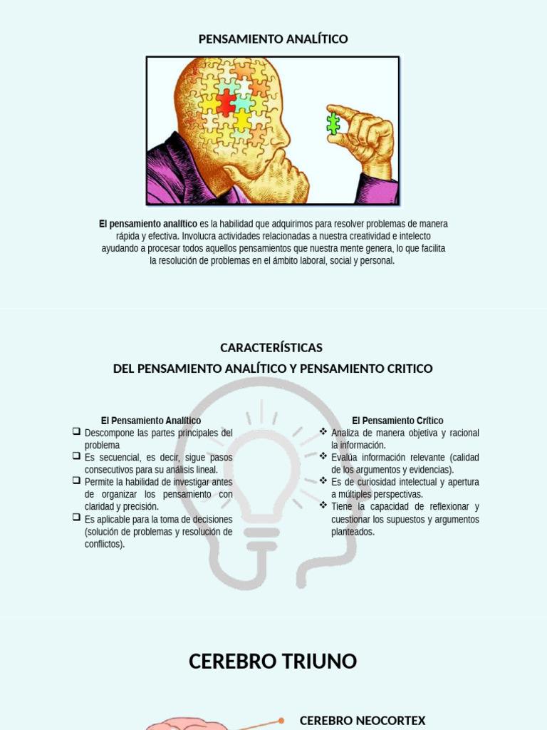 Pensamiento Analítico y Crítico Efectivo | PDF