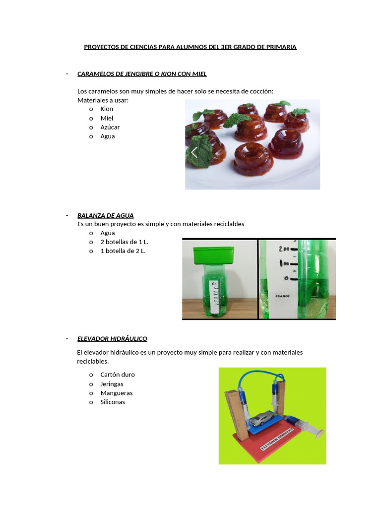 Proyectos de Ciencia para 3er Grado | PDF