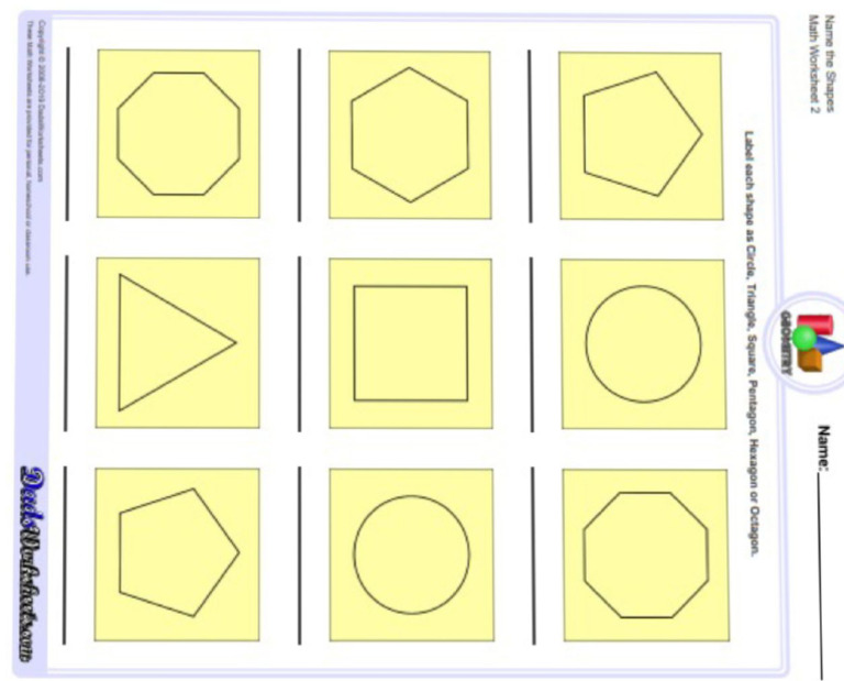 Shapes | PDF
