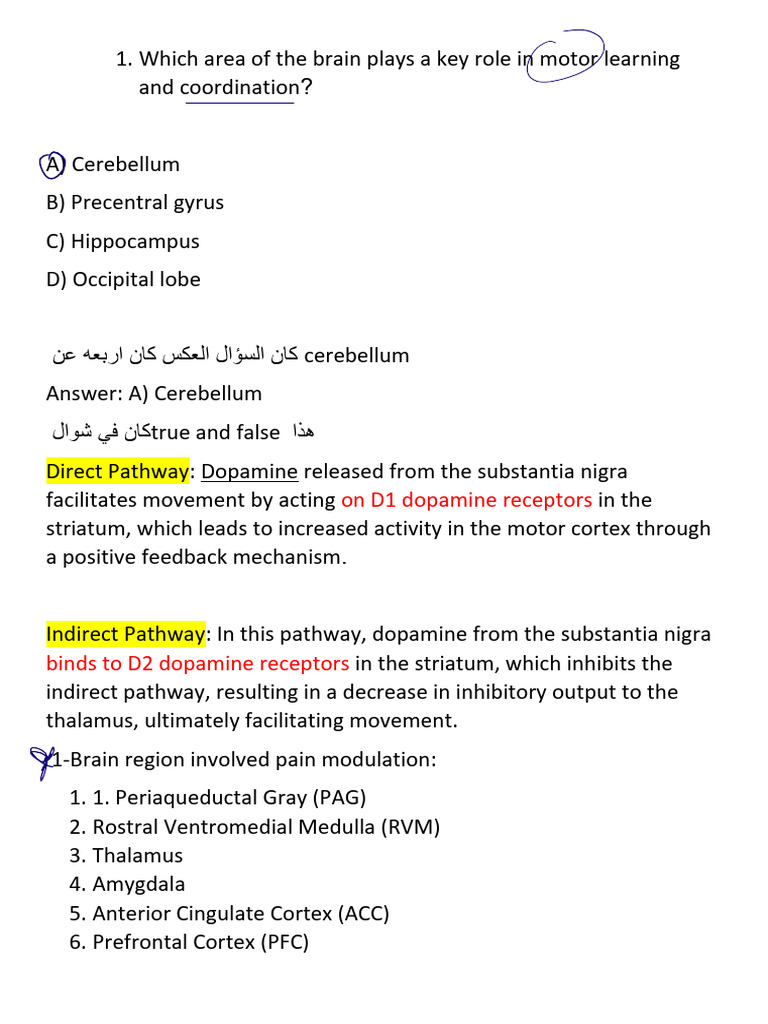 Cerebellum and Motor Learning Insights | PDF | Basal Ganglia | Striatum