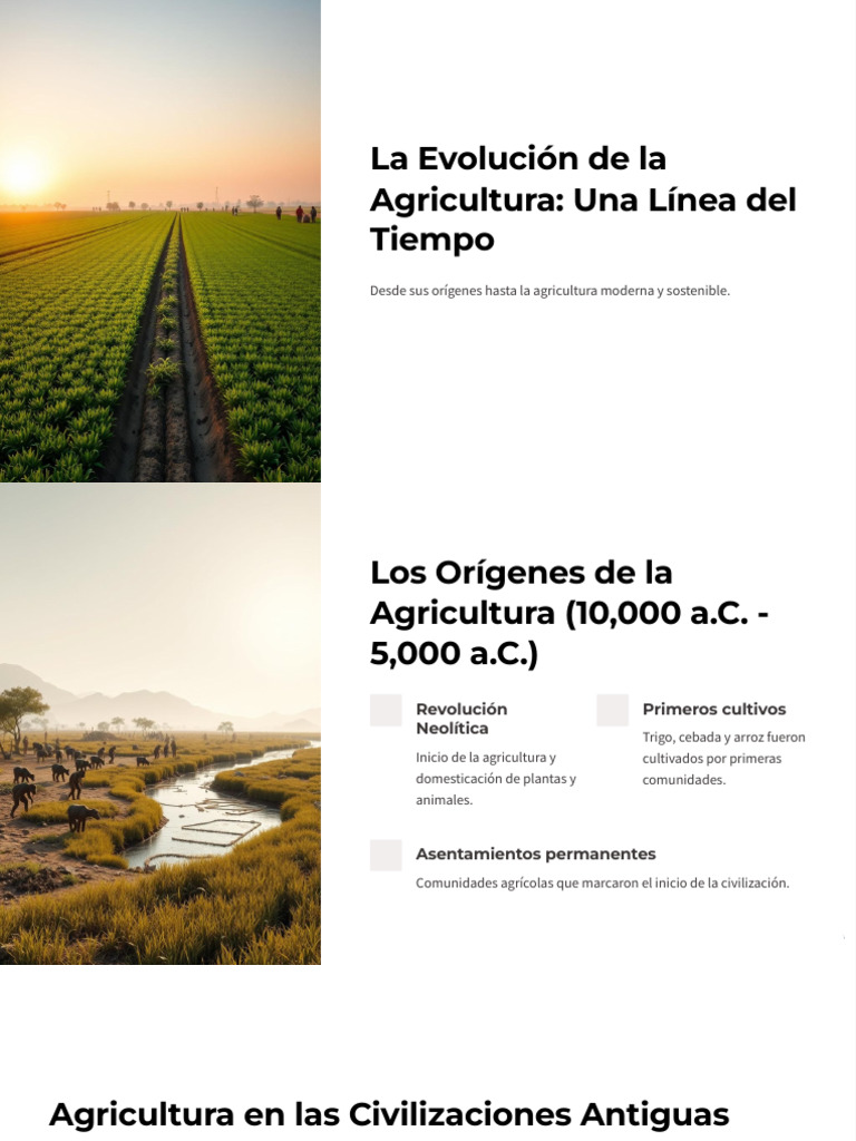 La Evolucion De La Agricultura Una Linea Del Tiempo Pdf Agricultura