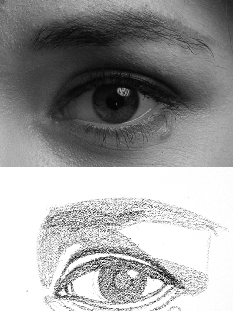 Eye PDF | PDF