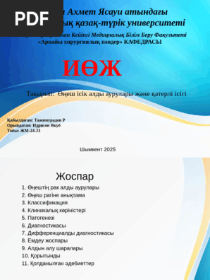 Жапондық порно