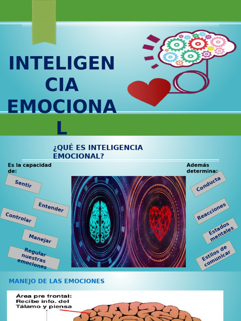 Guía Práctica de Inteligencia Emocional | PDF | Las emociones ...