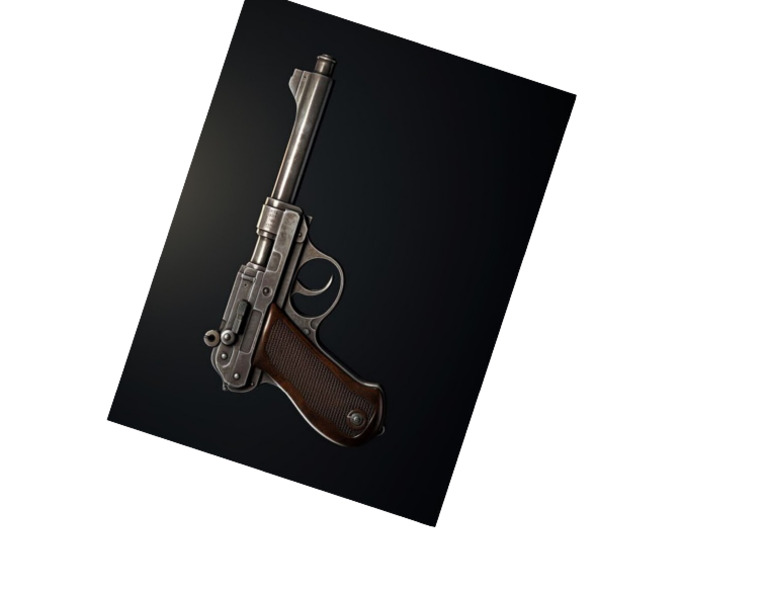 Gun | PDF