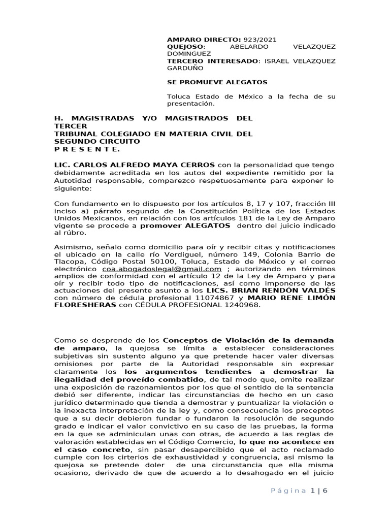 Amparo Directo | PDF | Debido al proceso | Caso de ley