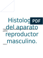 Histologí Masculino