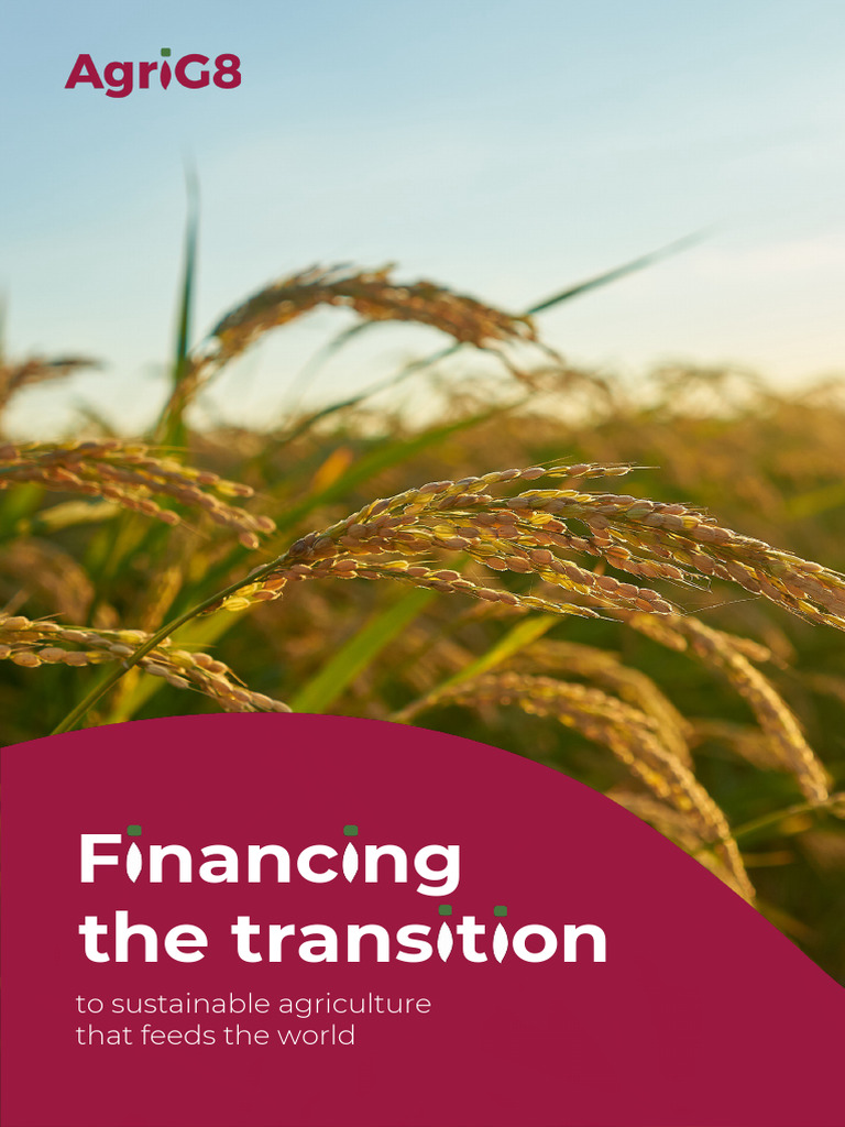 Financing Sustainable Rice Farming | PDF | Climate Change Mitigation ...