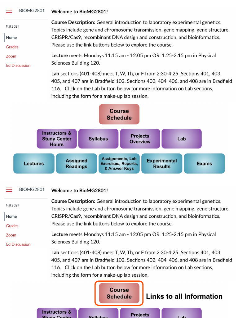 BioMG2801+Lecture+1+F24 | PDF | Zygosity | Allele