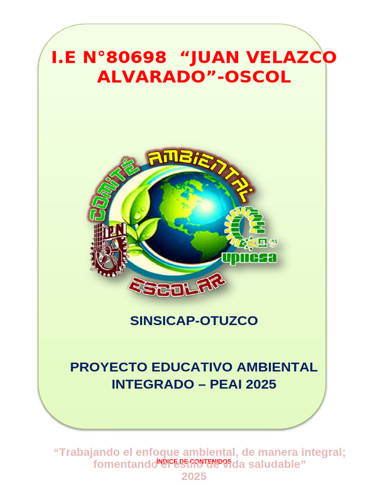 Proyecto Educativo Ambiental Integrado 2025 | PDF | Sustentabilidad ...