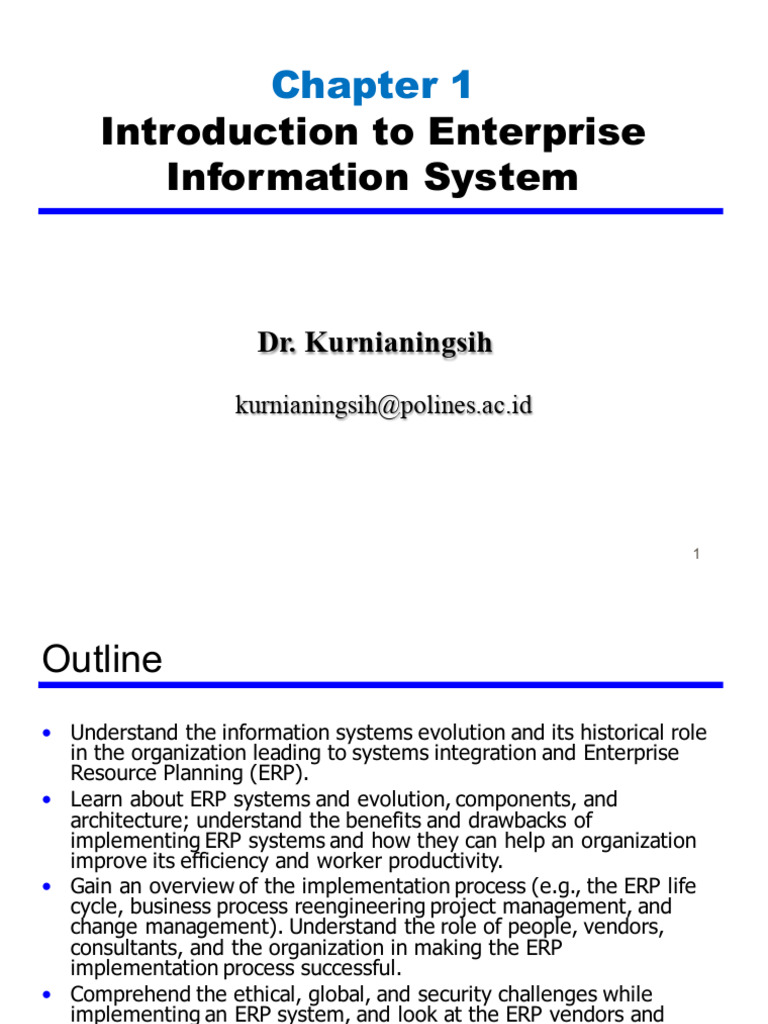 Overview of Enterprise Information Systems | PDF | Enterprise Resource ...