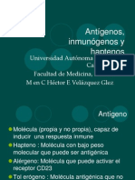 Antigenos Inmunogenos y Haptenos