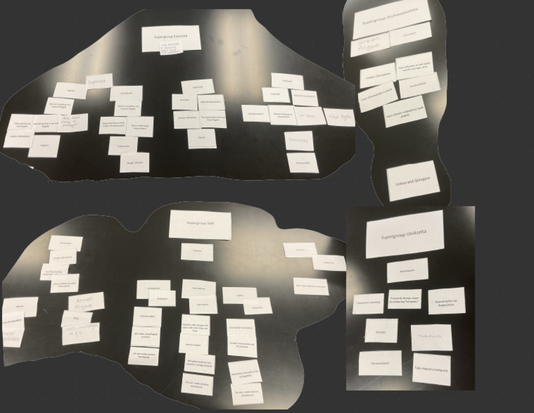 Card Sort Activity 2 | PDF