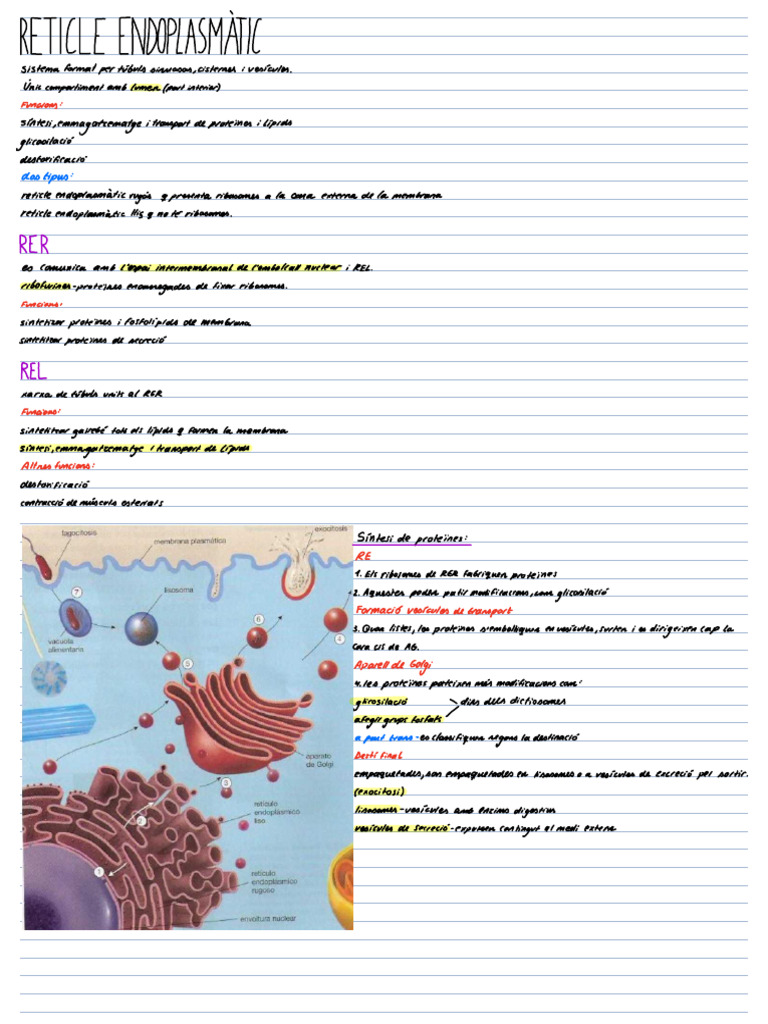 Note 7 Apr 2025 | PDF