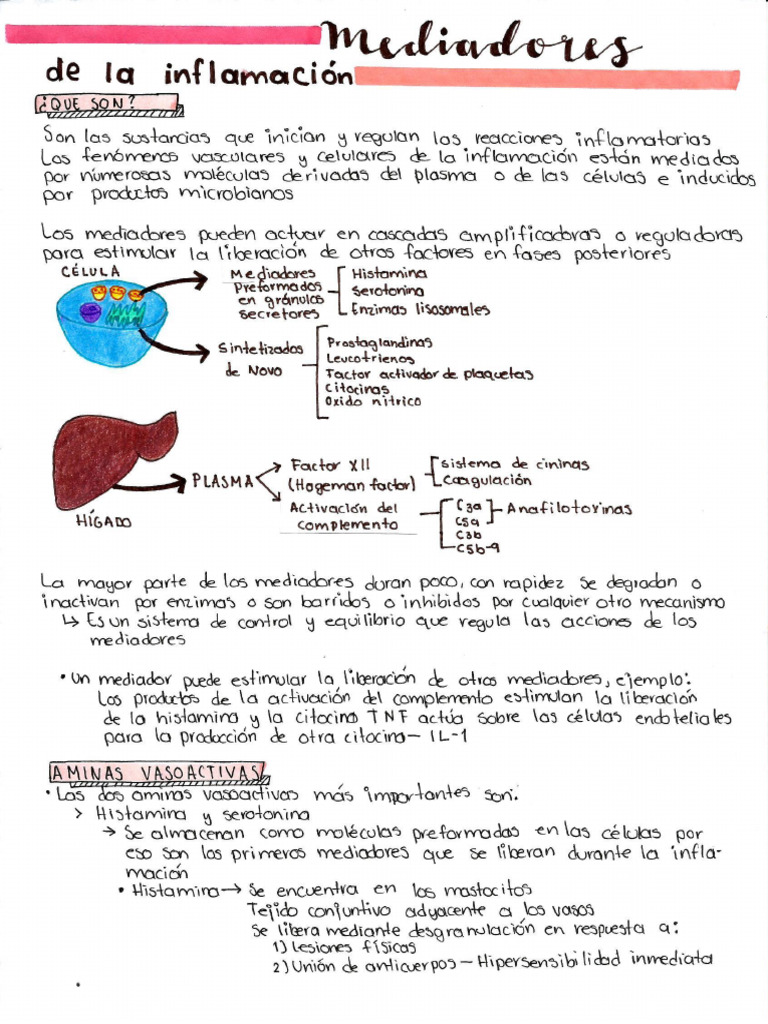 Mediadores Quimicos de La Inflamacion by Amy Mednotes | PDF